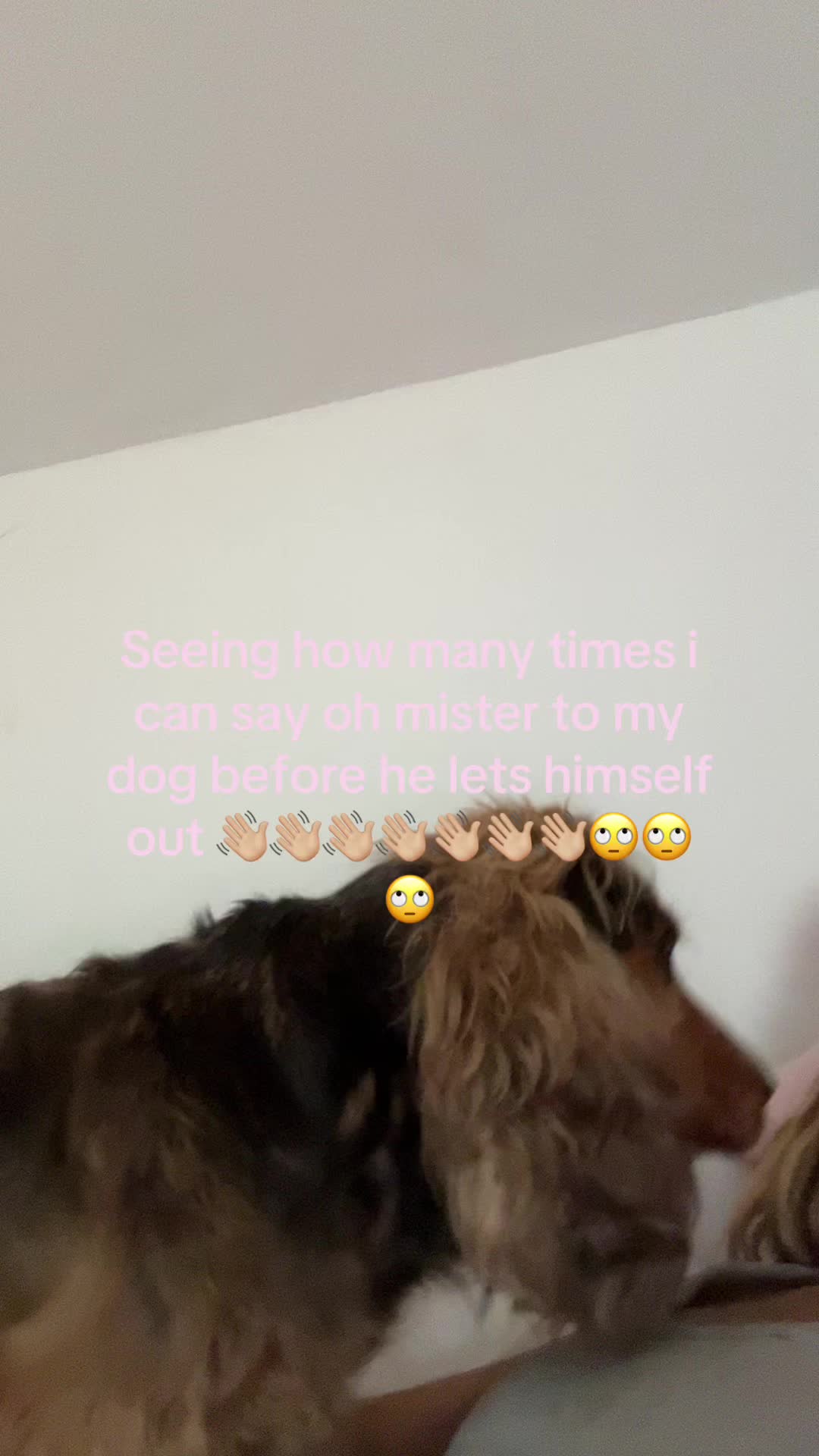 @Izzygshore