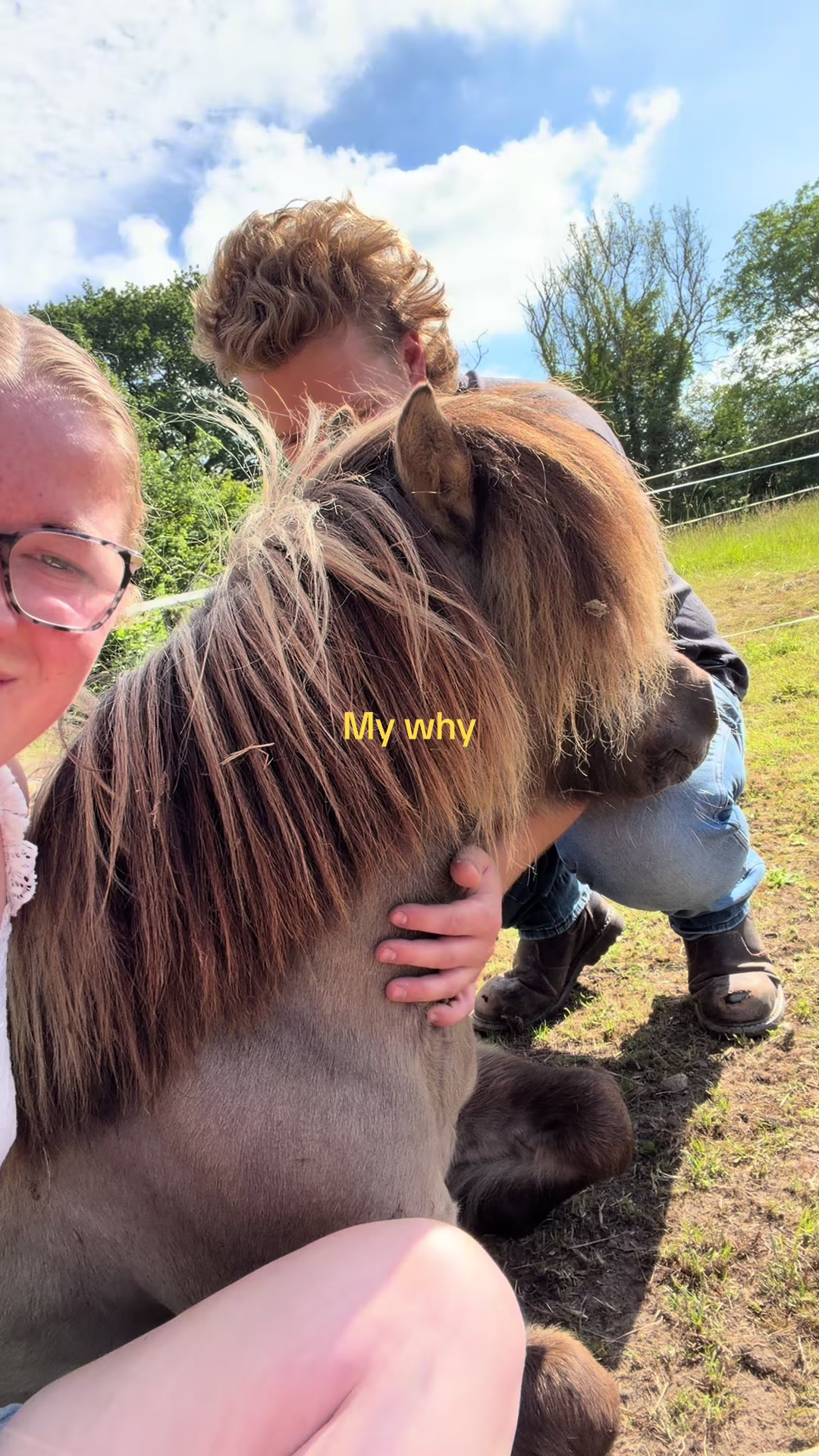@Ernie 🐴