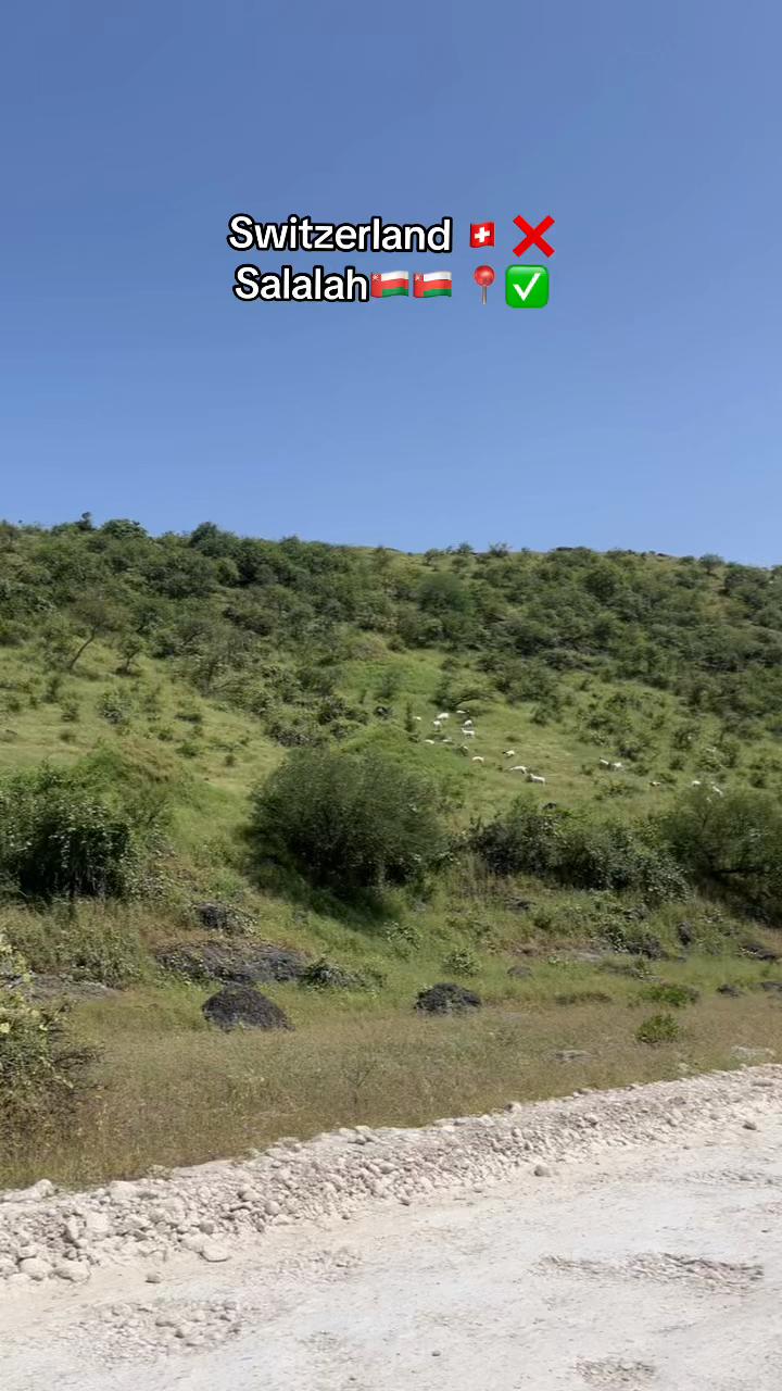 @🇴🇲💫🌺عيشانور🌺💫🇴🇲