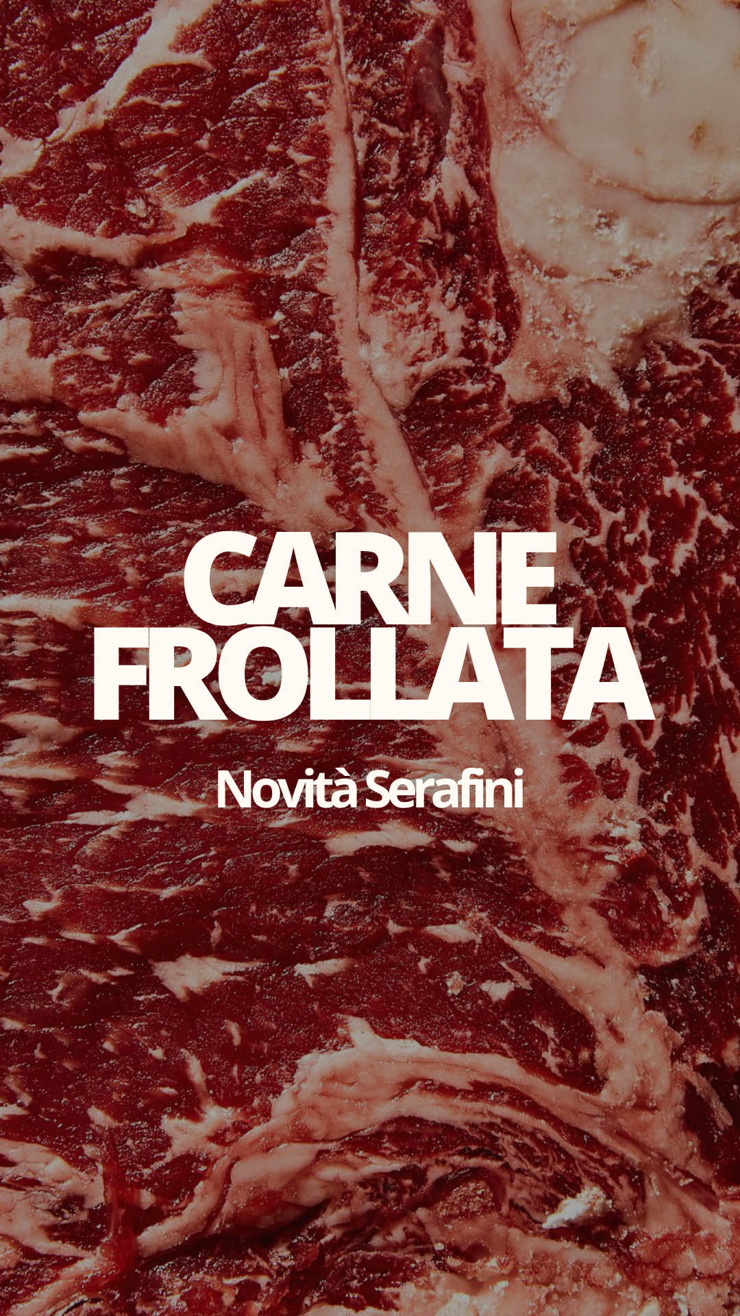 @Casearia Serafini