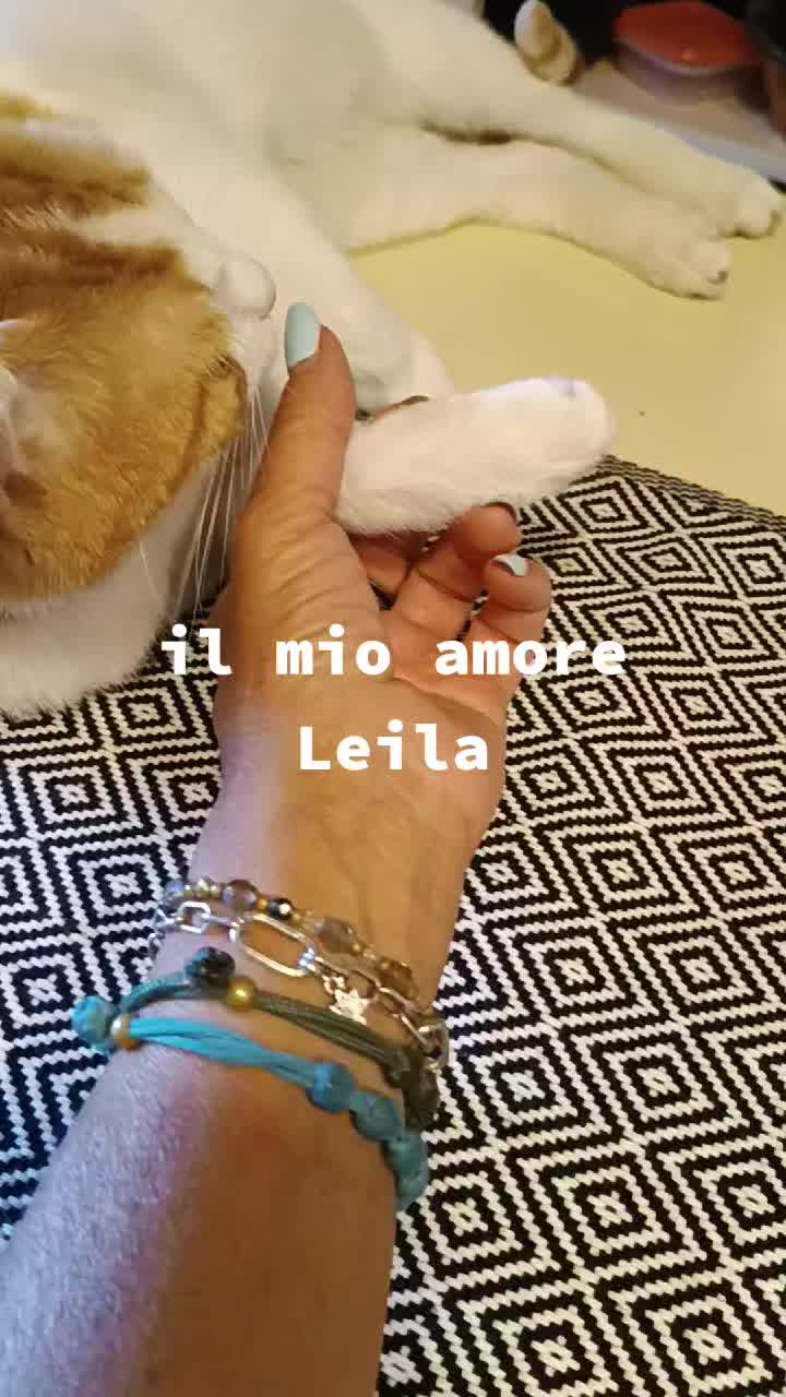 @Amalia Gervasi