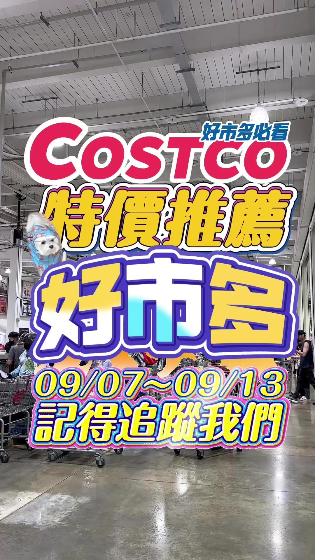 @Youtube搜尋🔍可可酒精