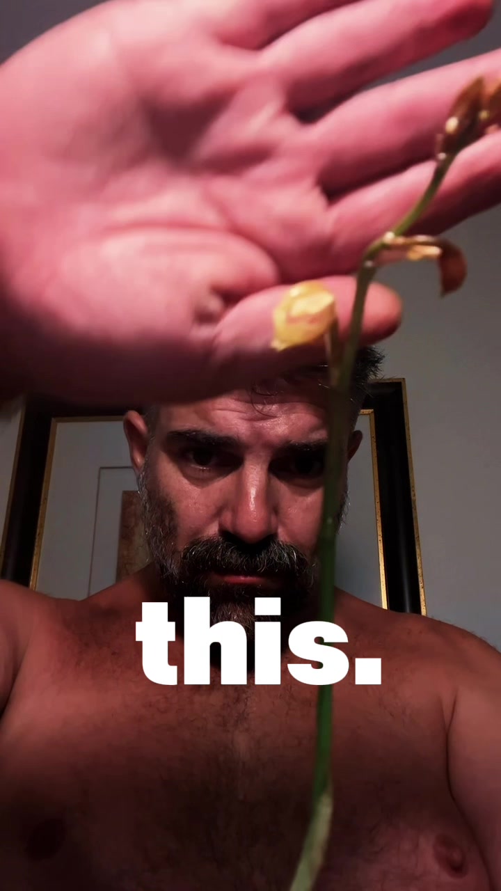 @bearfluence