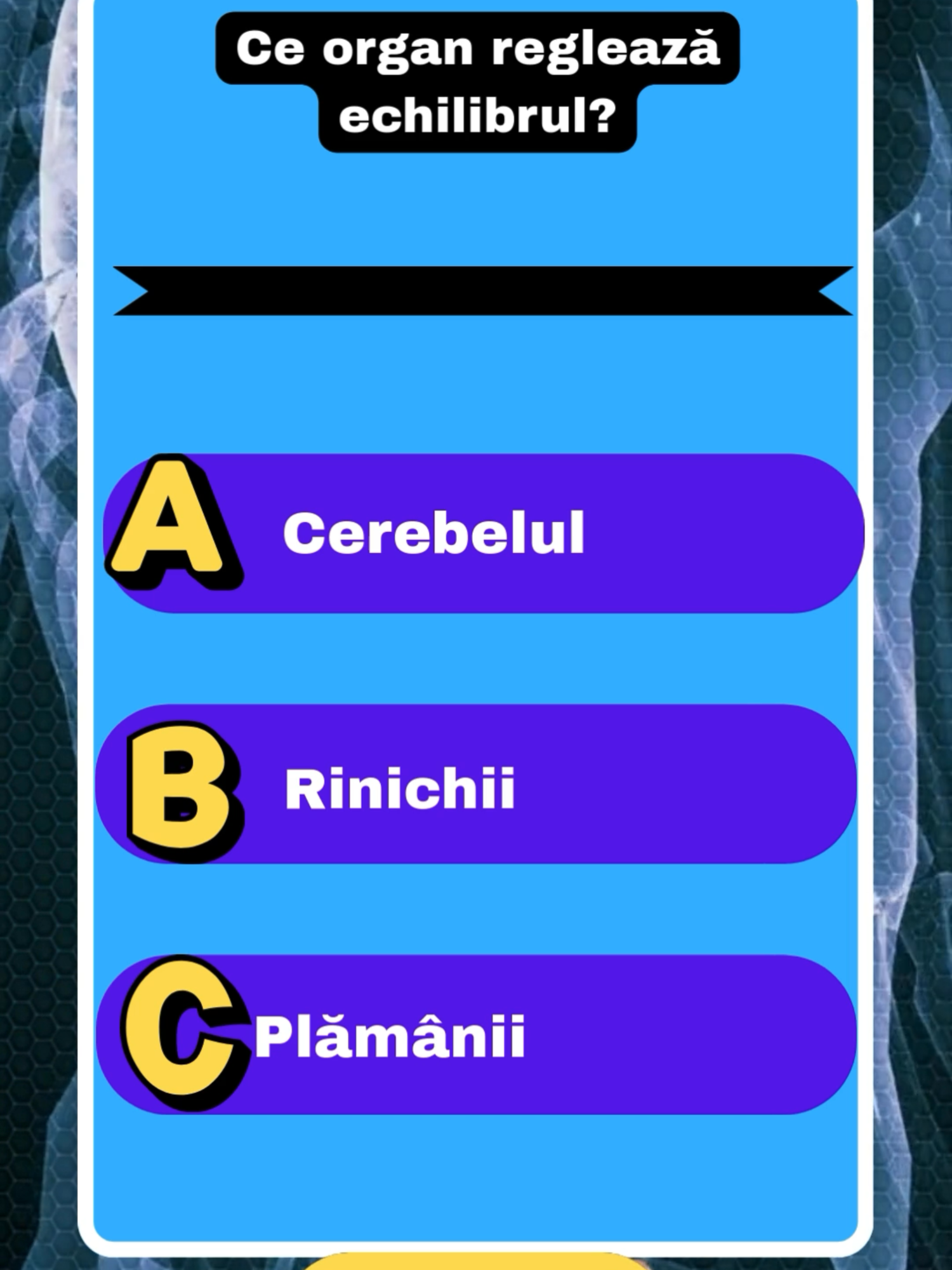@LogIQ Trivia