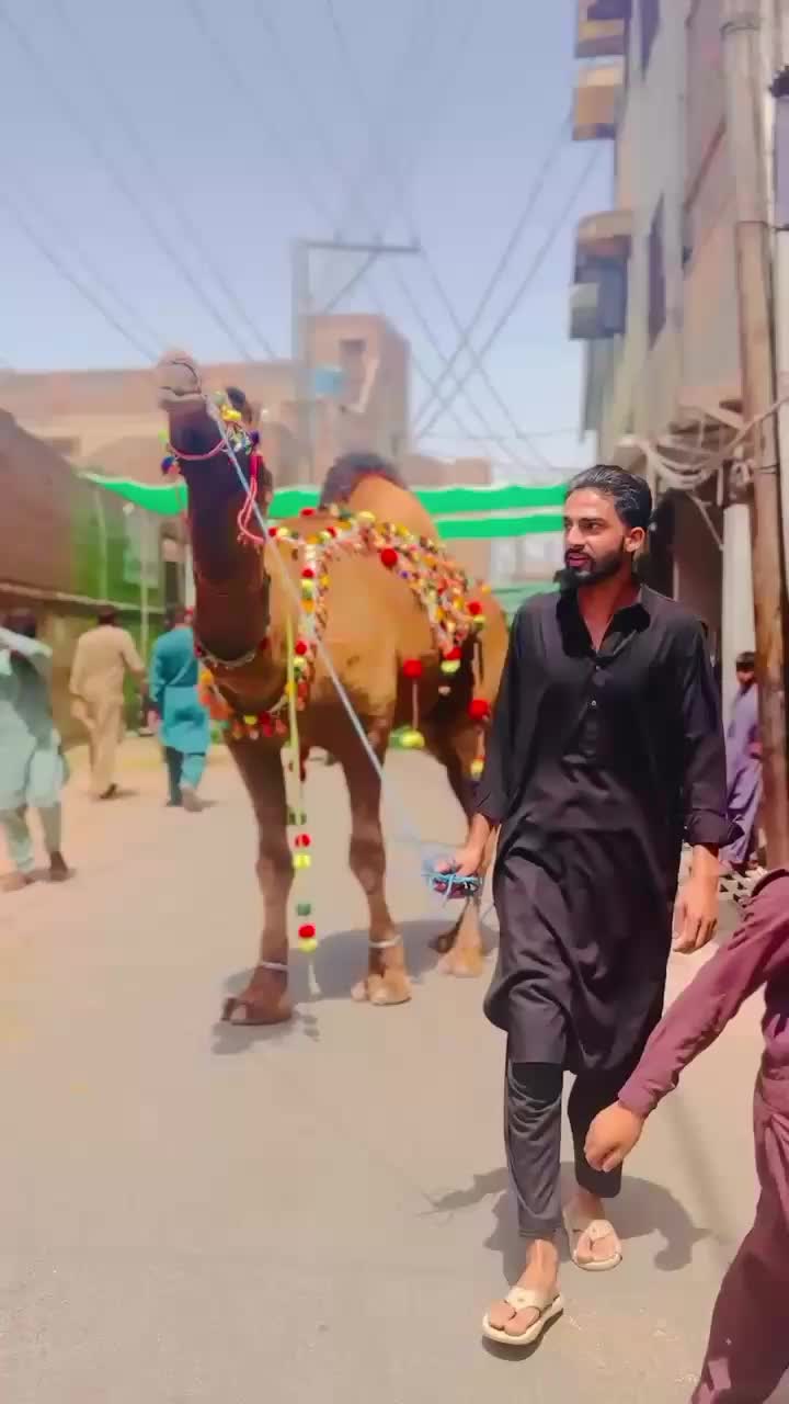 @درویش لوگ