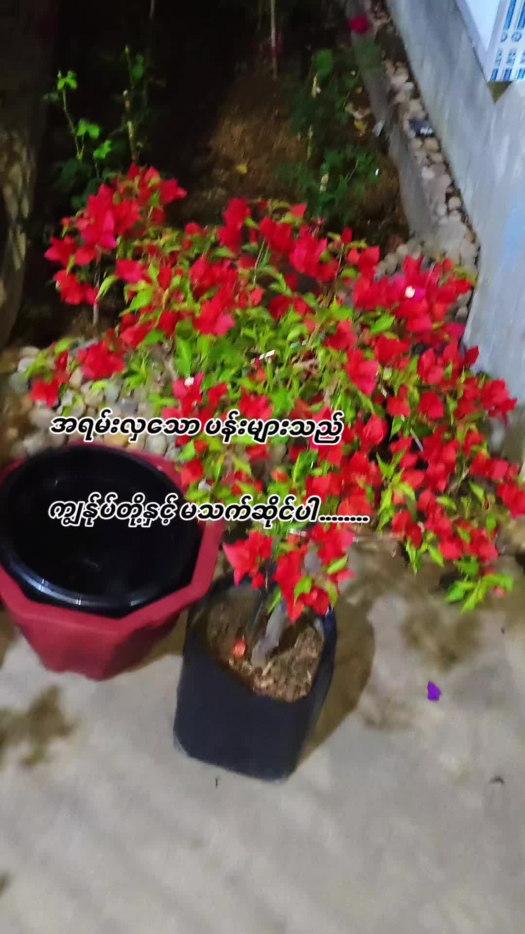 @ကိုမောင်မောင်ဖြိုး