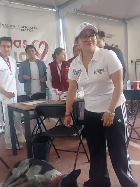 @amhgo MEDIA