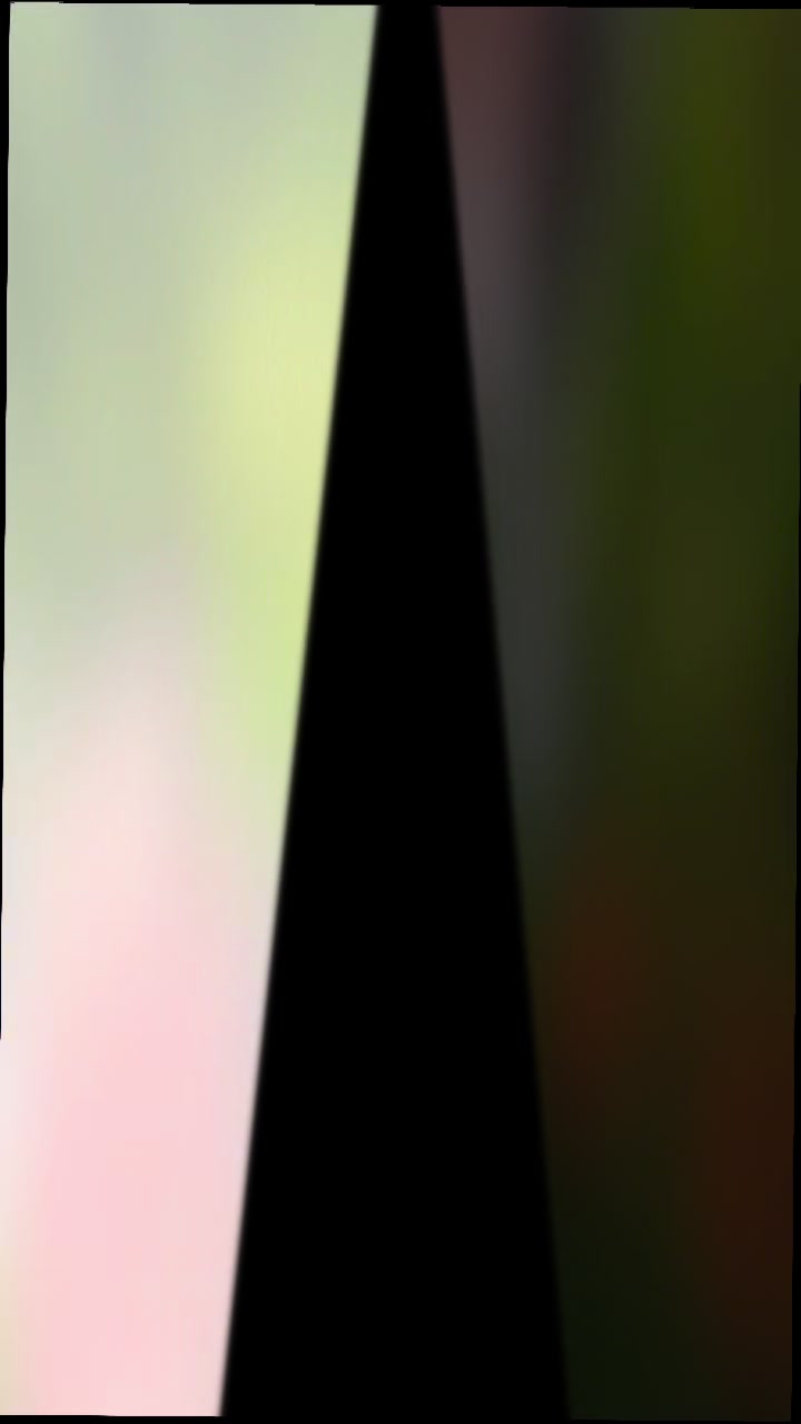 @عائلة القط ايرو