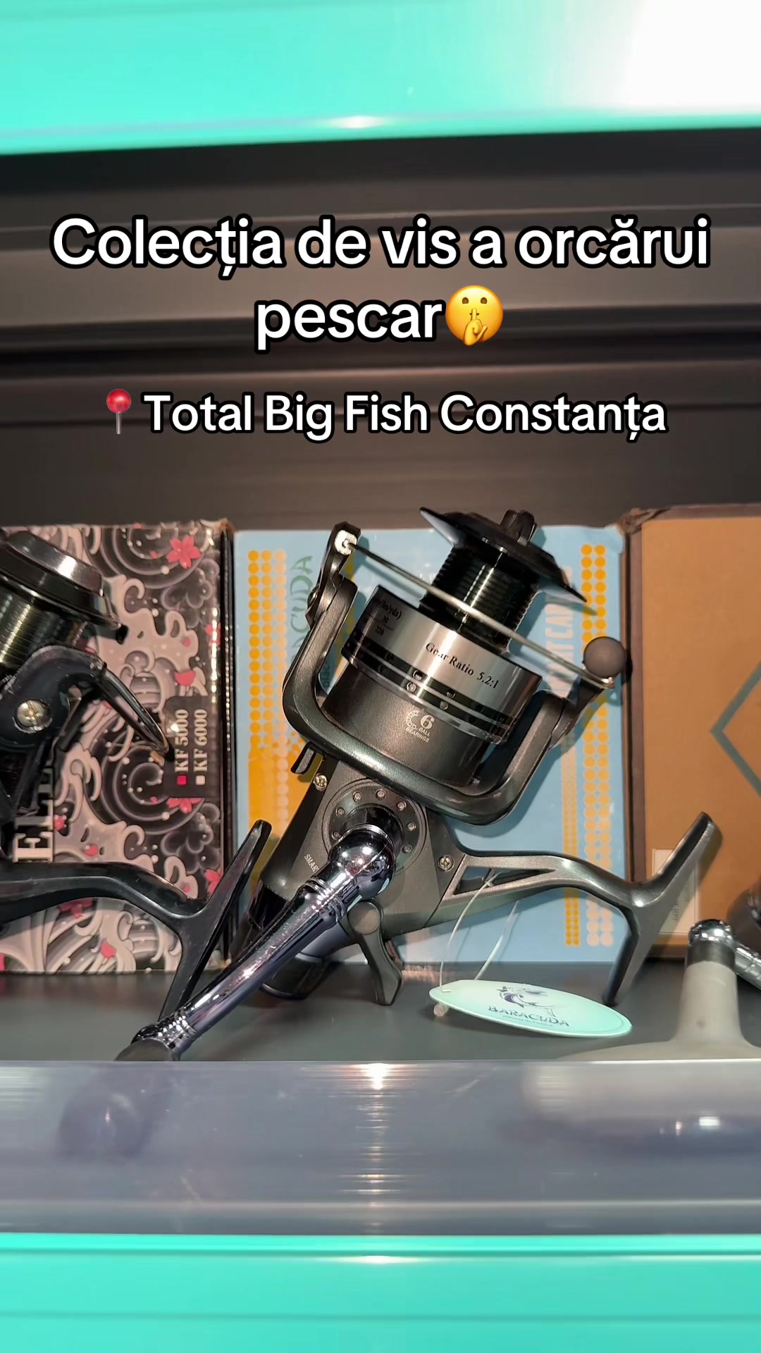 @Total Big Fish Constanța