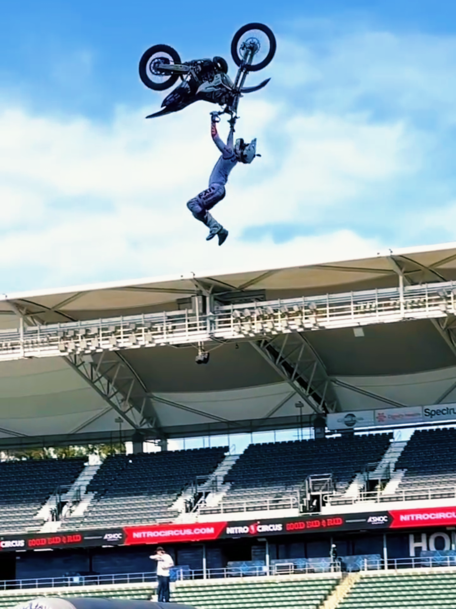 @Fmx_Skull
