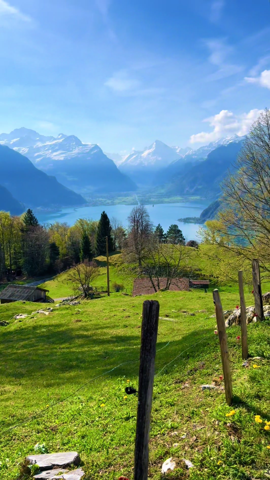 @swiss_alps