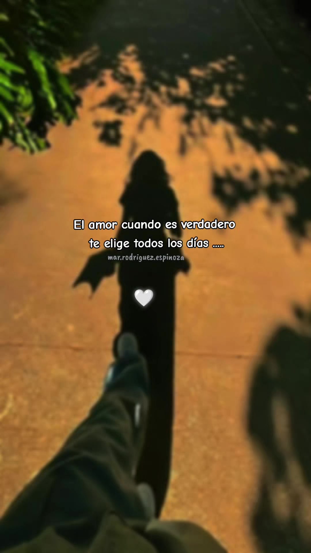 @Mar🌷Rodriguez Espinoza🇧🇴SC