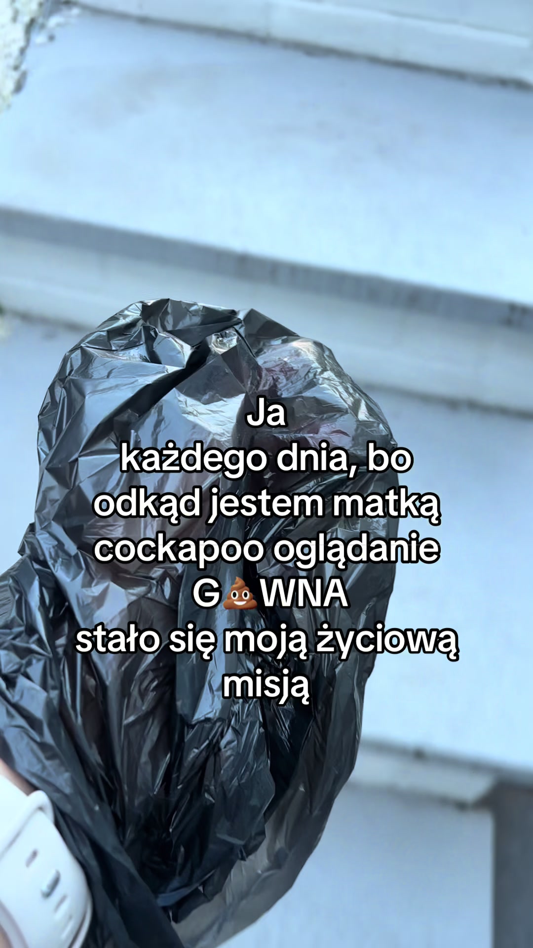 @Sisi