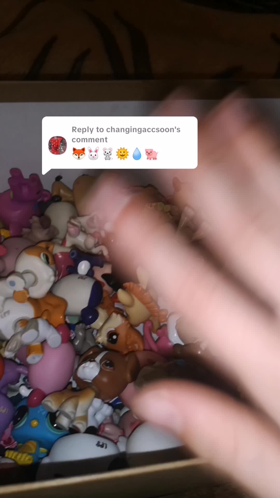 @Lps collecter🌺