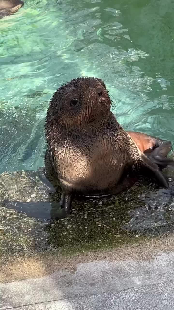 @Marine Mammal Care