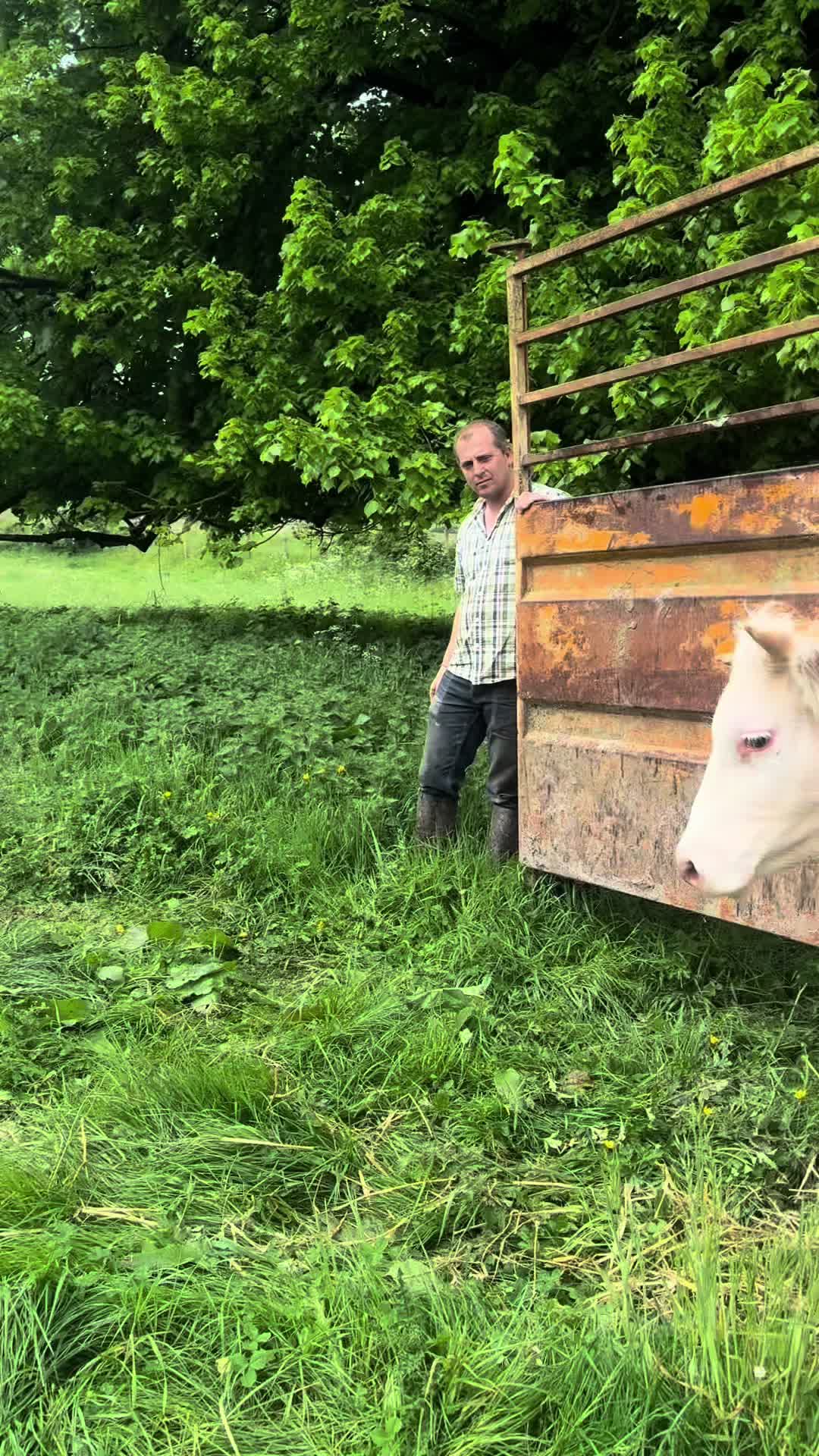 @ᏦᎥᎥᏦᏗᏗ 🌾🚜🐮