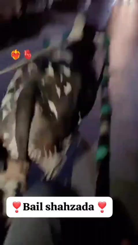 @salmanblouch525