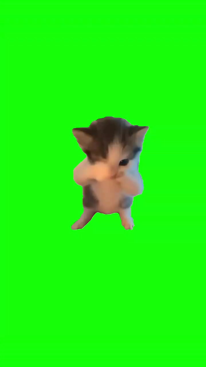 @โ
๐๐ต๐ฎ๐๐ฒ๐ผโ