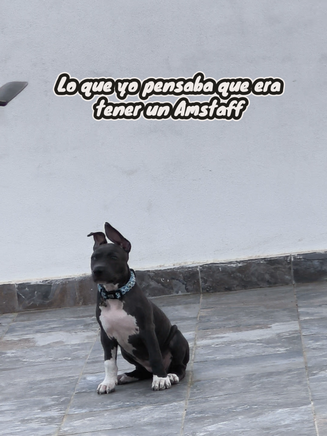 @kaRiiah | UGC Spain 🇪🇸