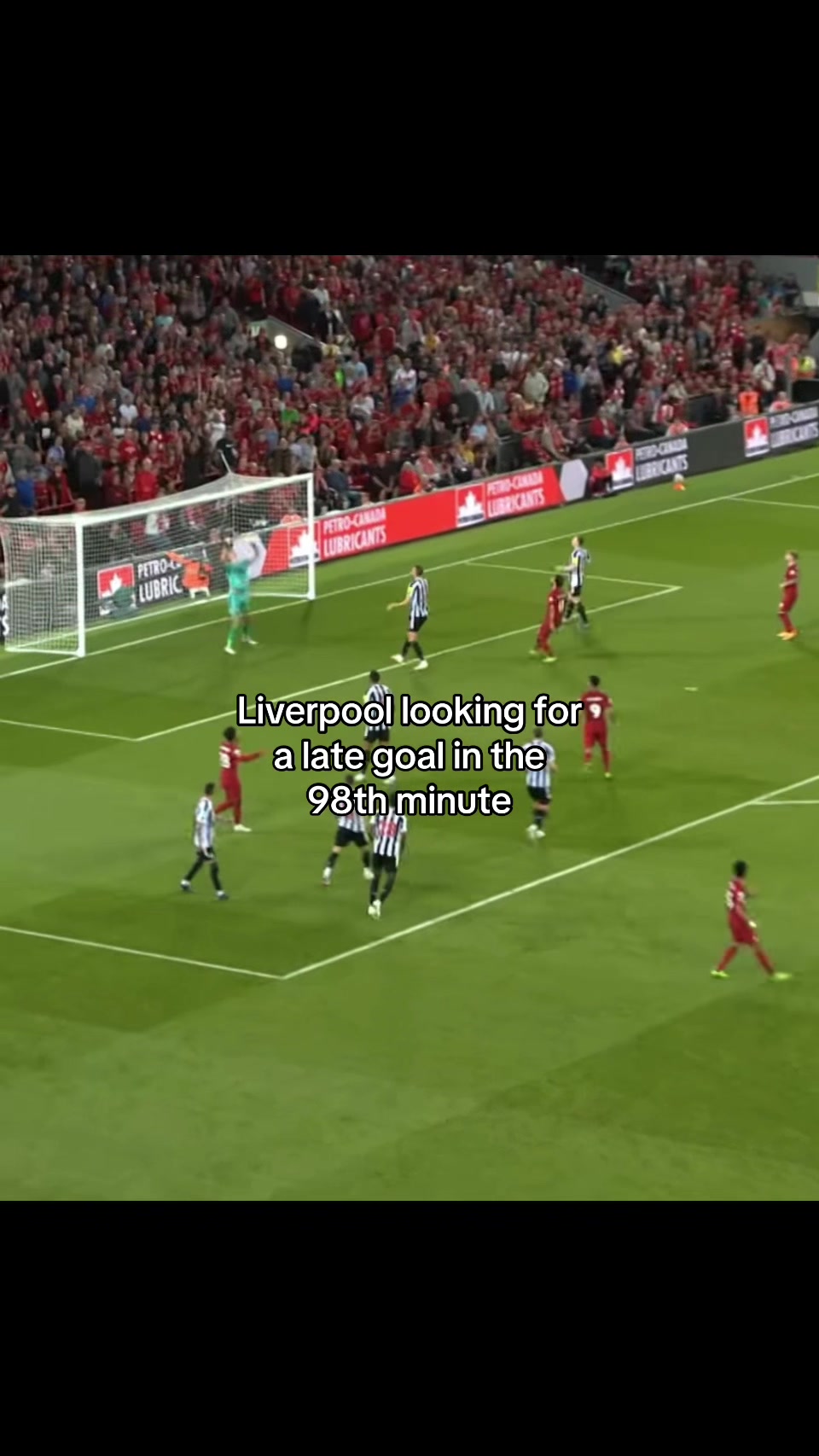 @lfcbarcozx