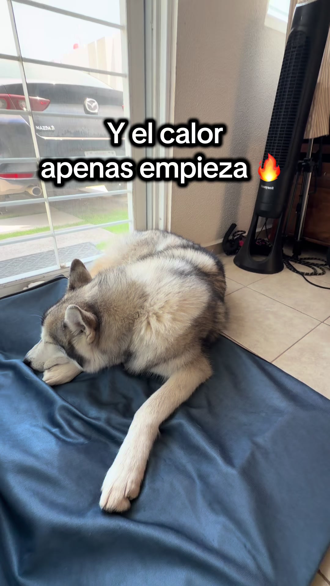 @KZ