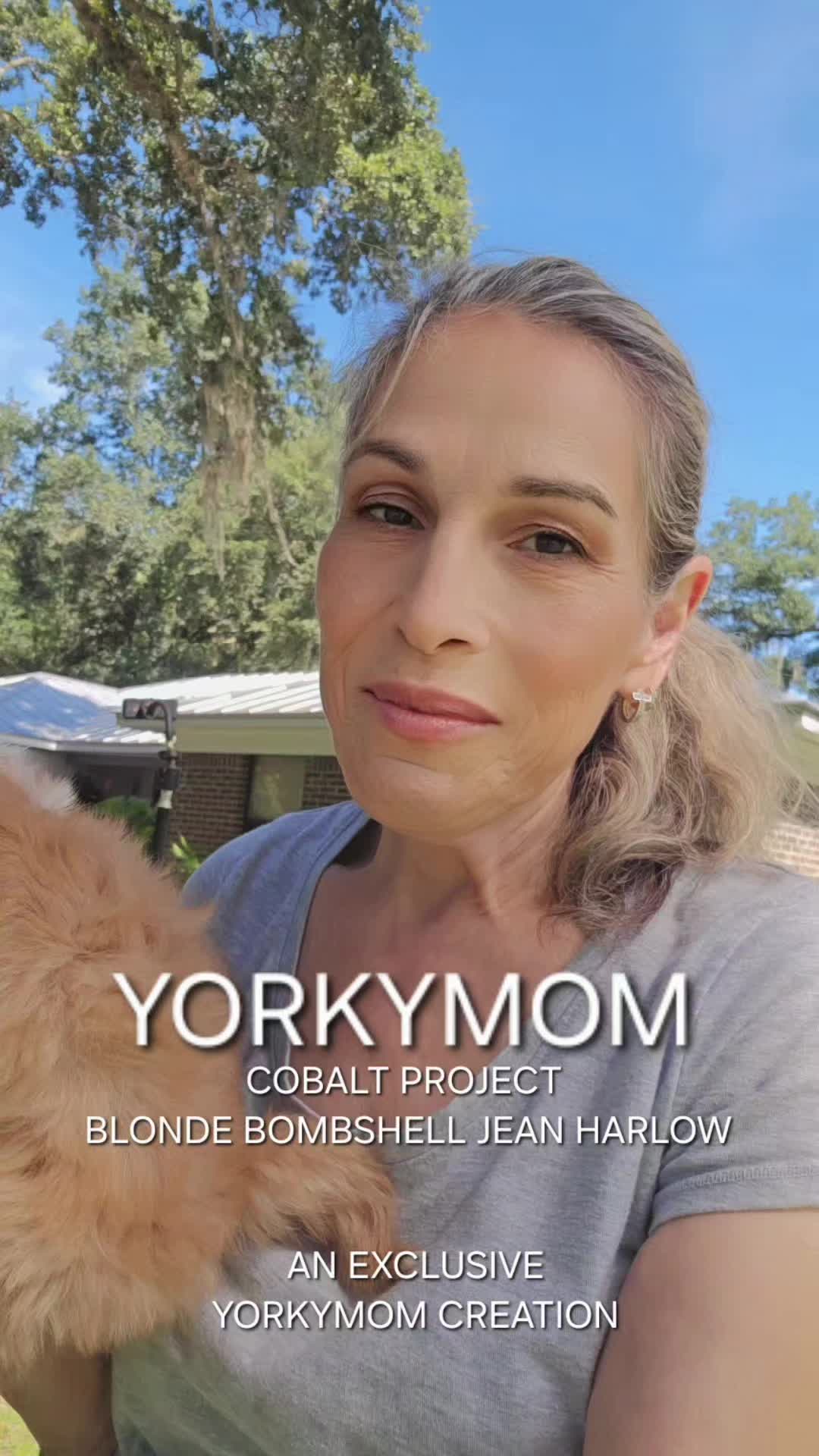 @theYorkymom