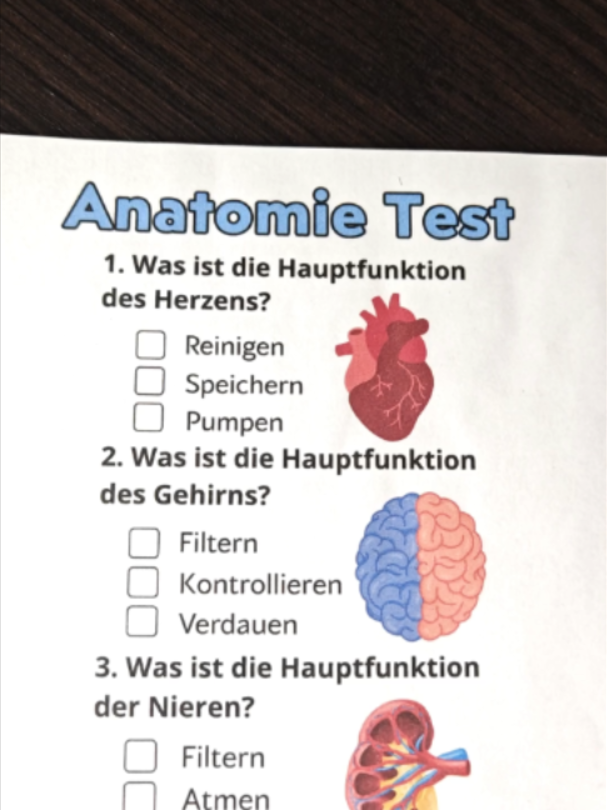 @Wissen Blitz🇩🇪