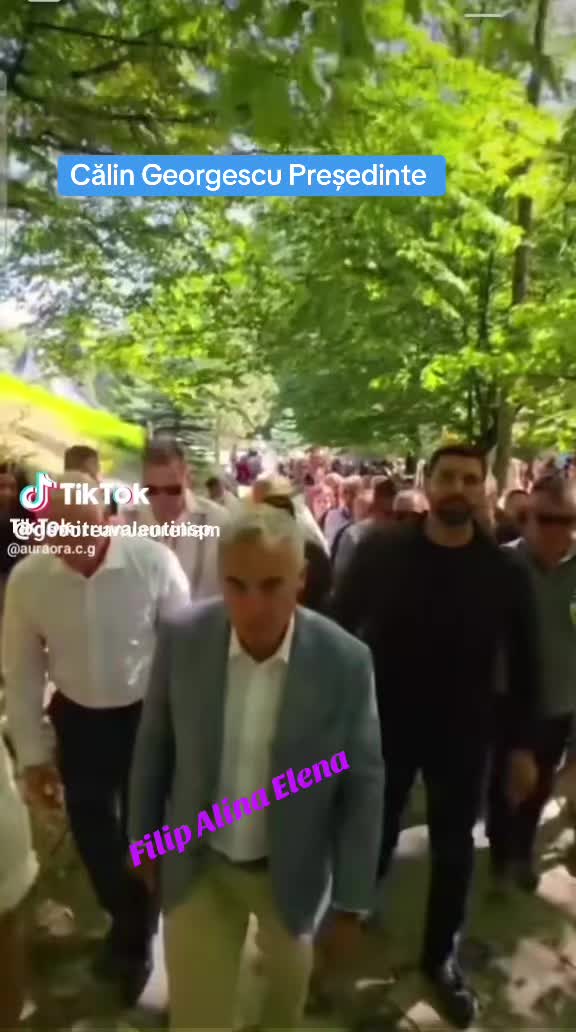@alinaelenafilip