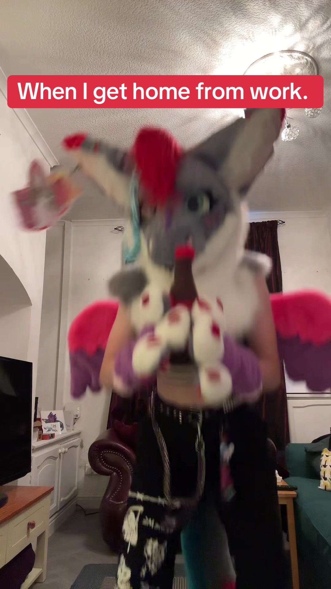 @Cola_the_angeldragon ❤️🖤