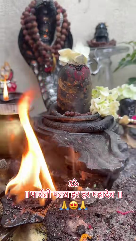 @ਵਲੈਤੀ ਪੰਜਾਬਣ sukh/ਸੁਖ