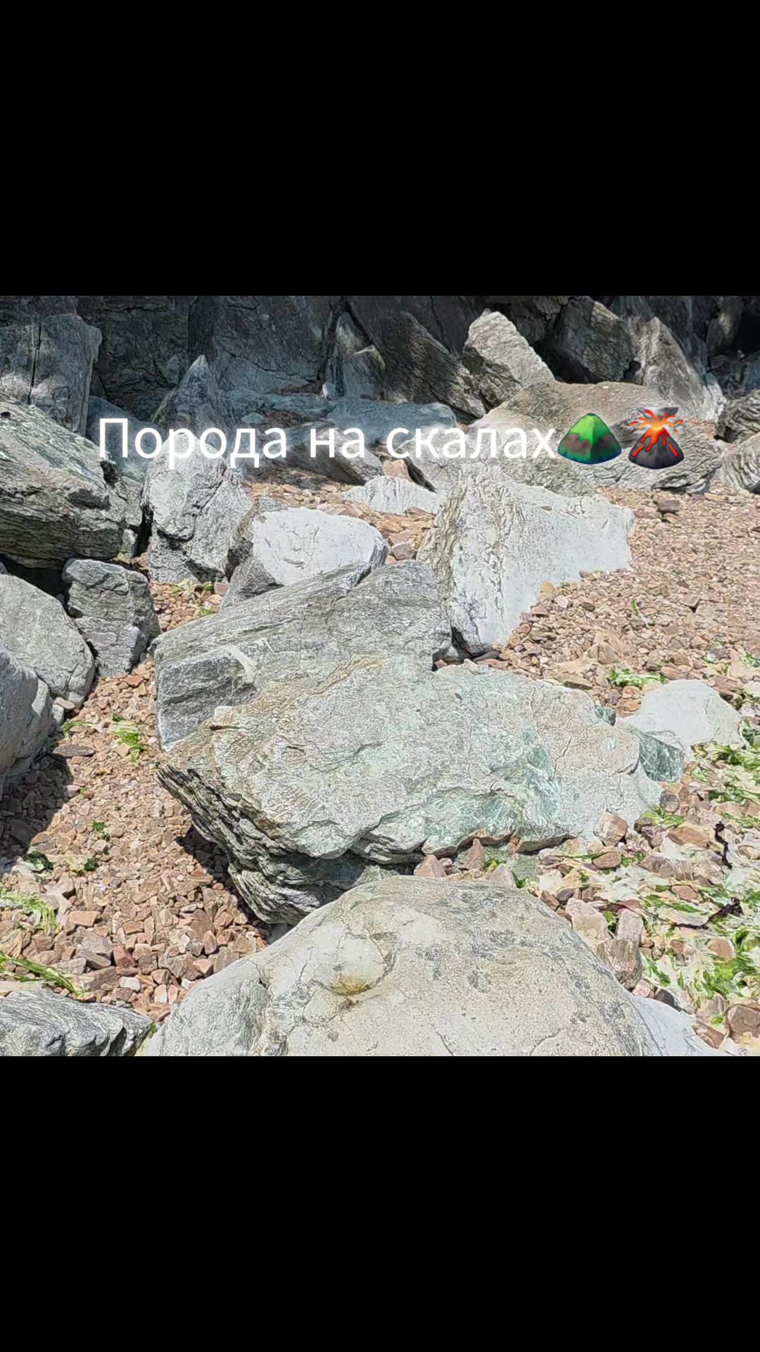 @Здоровый позвоночник♡Юж.Корея