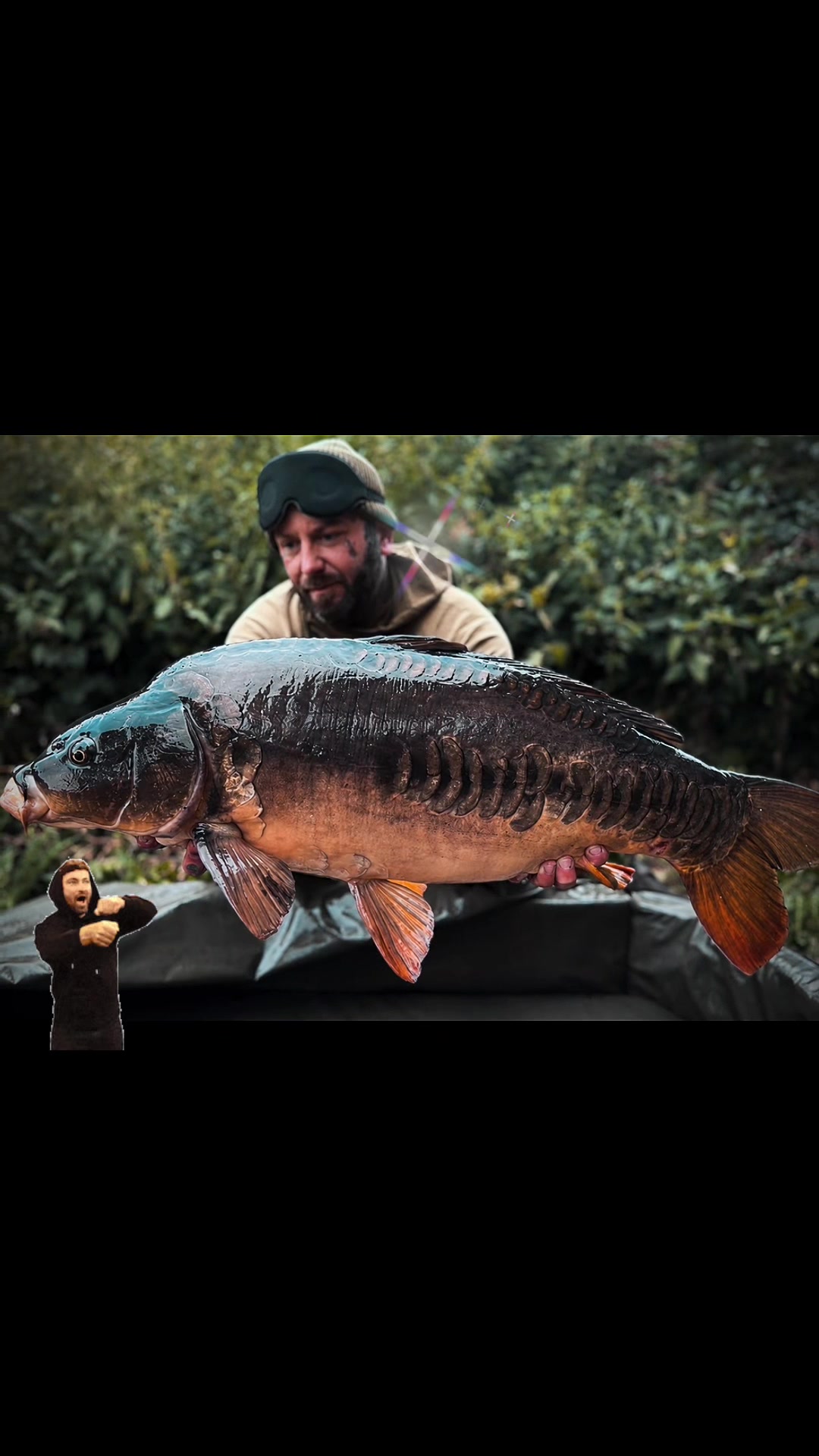 @Ian bank rat davies