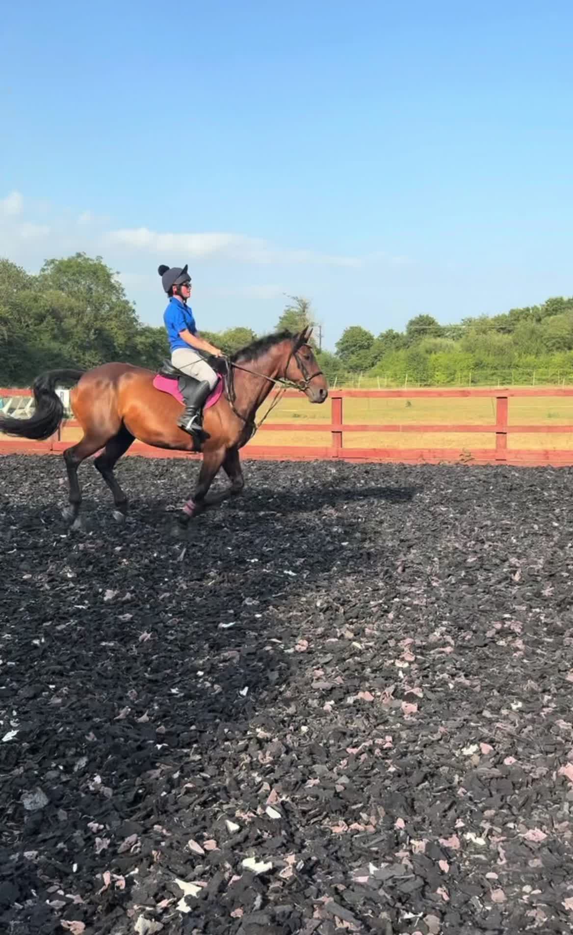 @MG.eq🇬🇧🐴