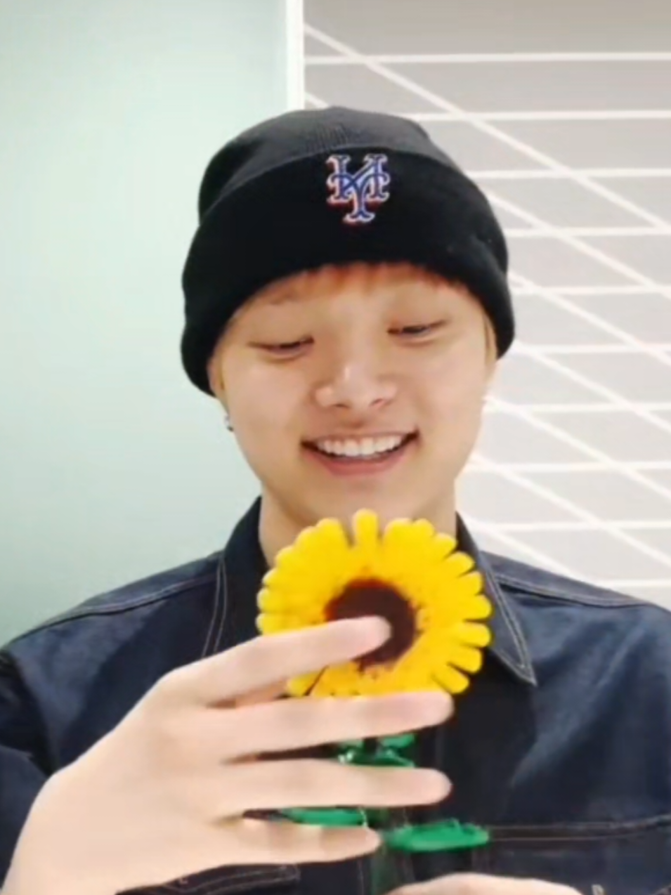 @luu݁ ˖Ი𐑼⋆