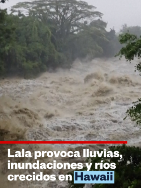 @Noticias Telemundo