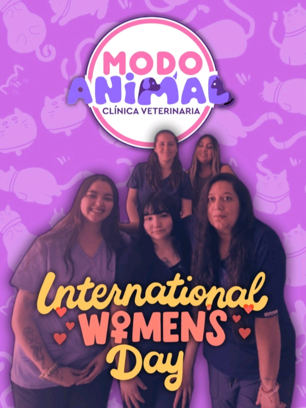 @VetModoAnimal