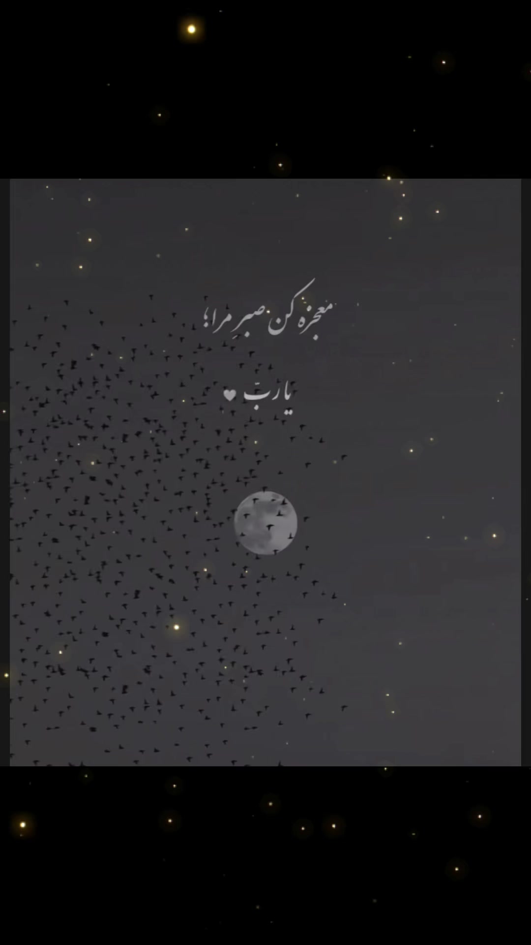 @Mahenoor_786