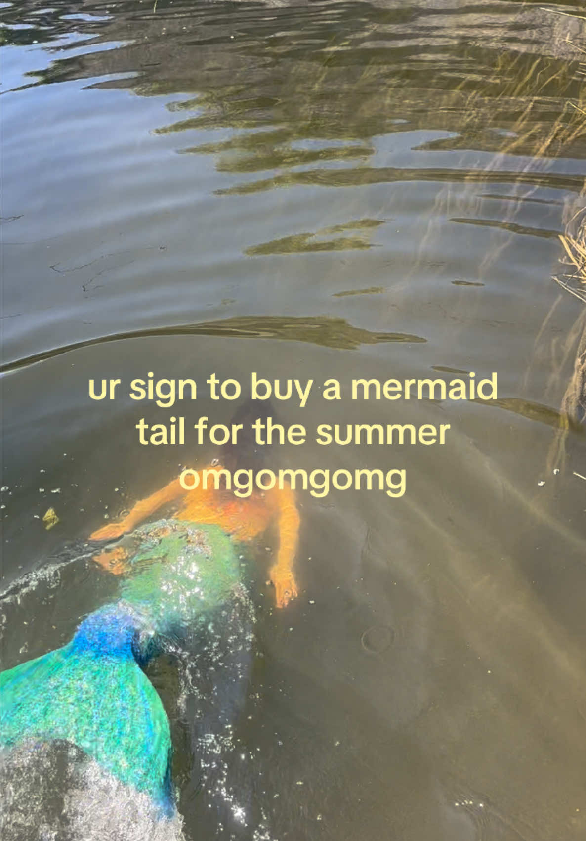 @Maya