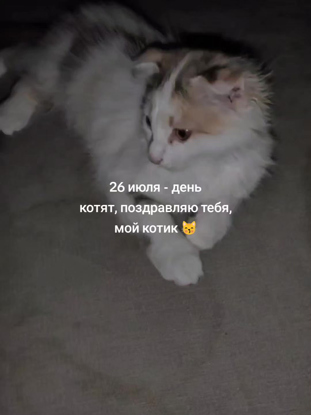@musicofthesoul
