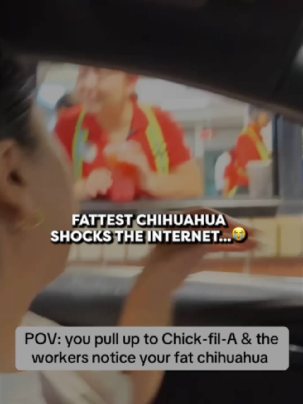 @Go Fetch