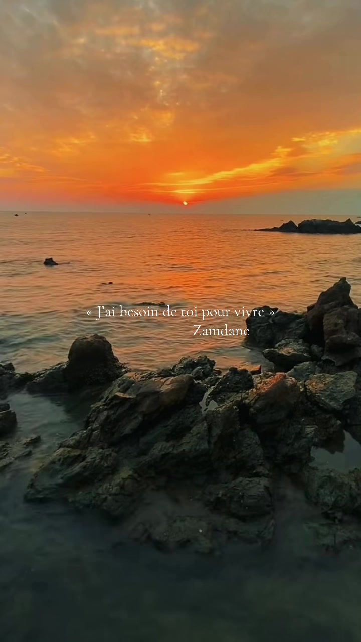 @user482191