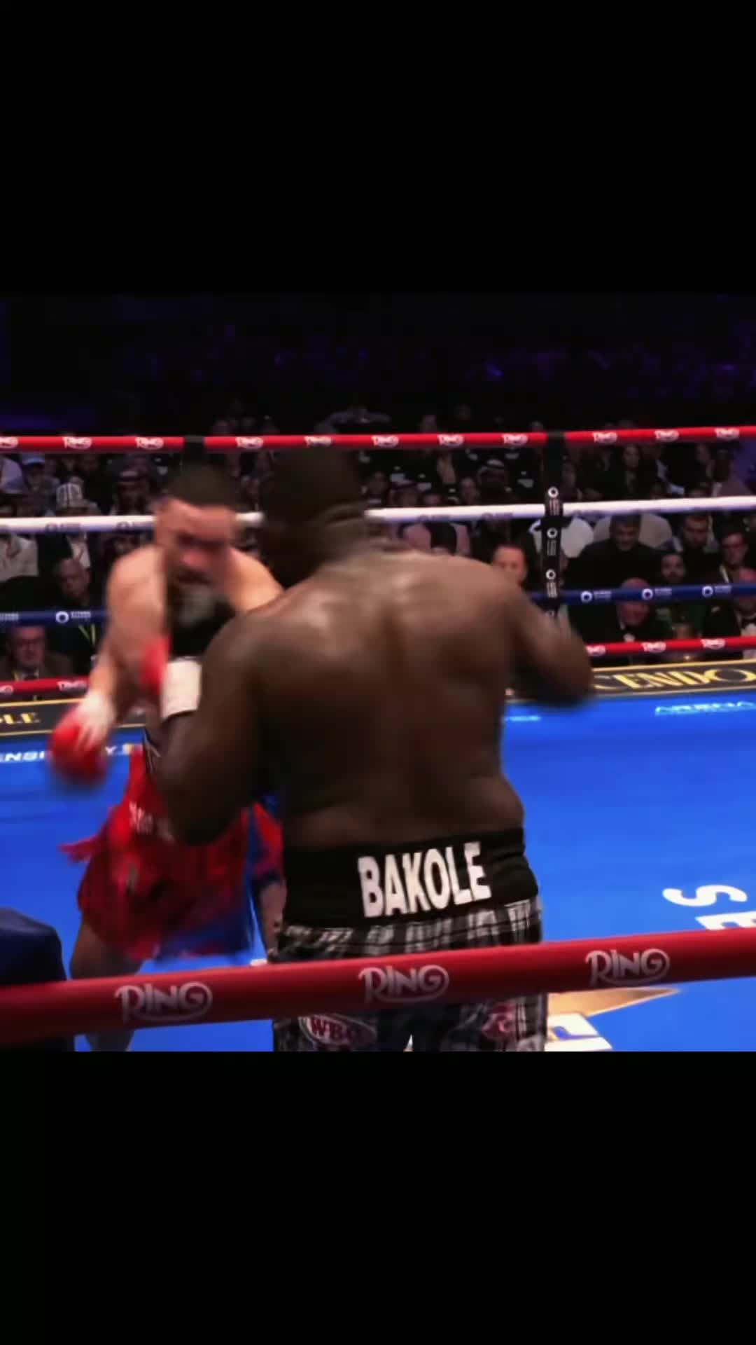 @BoxVision