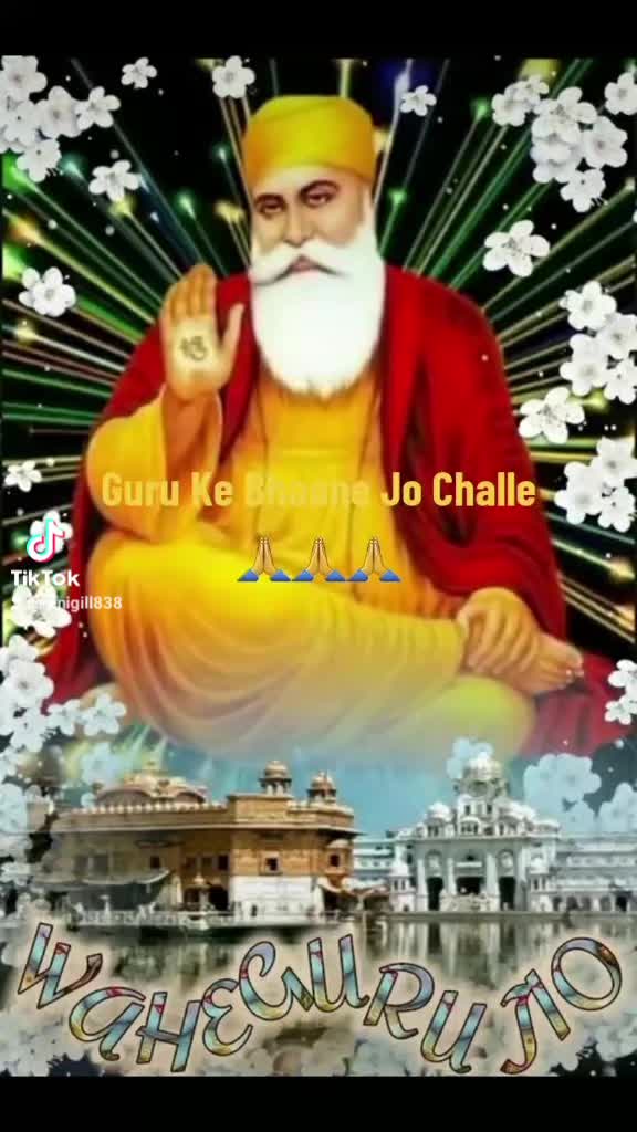 @🌼🩵Gill77🌼🩵
