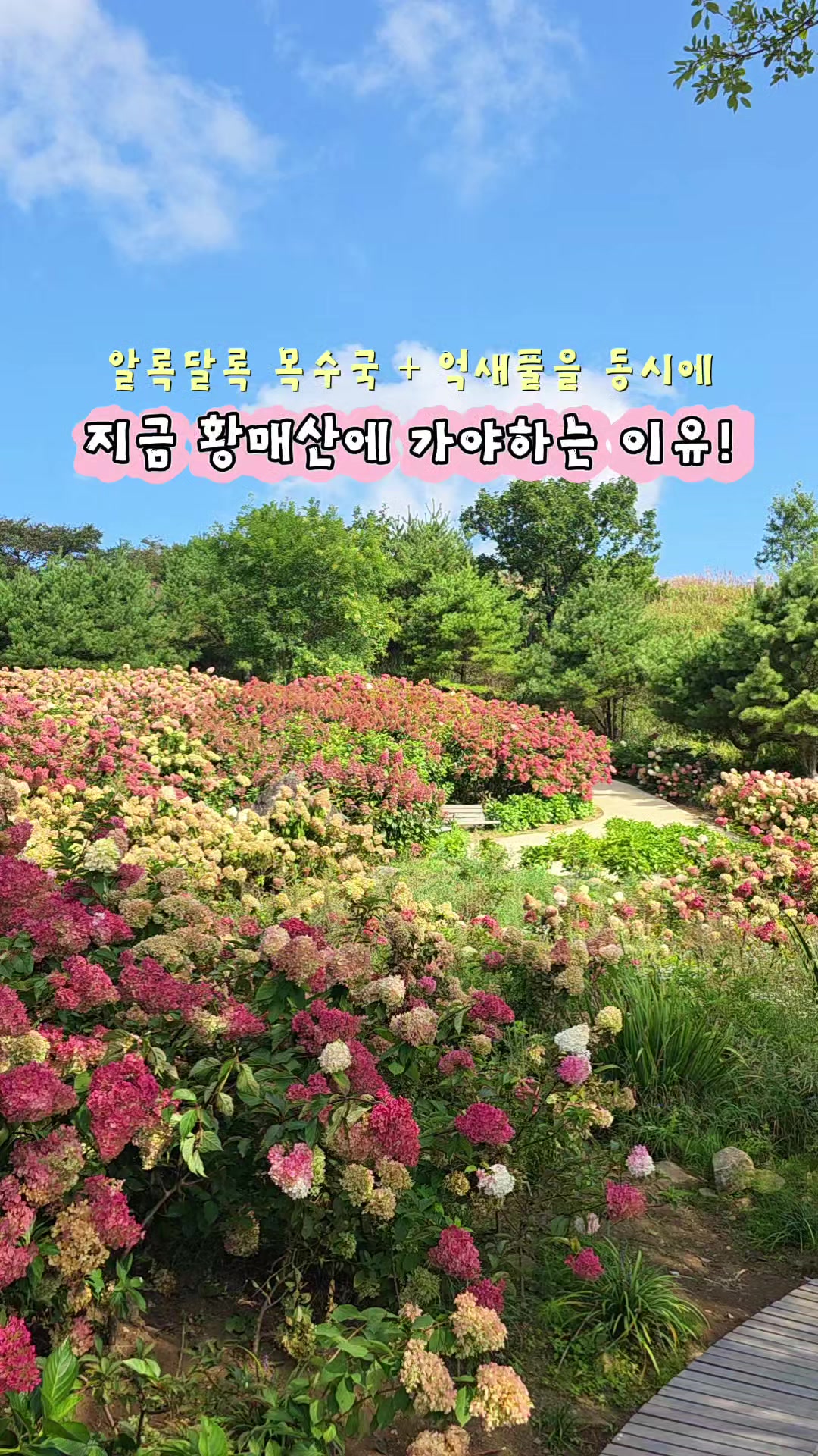 @ON로드 여행기