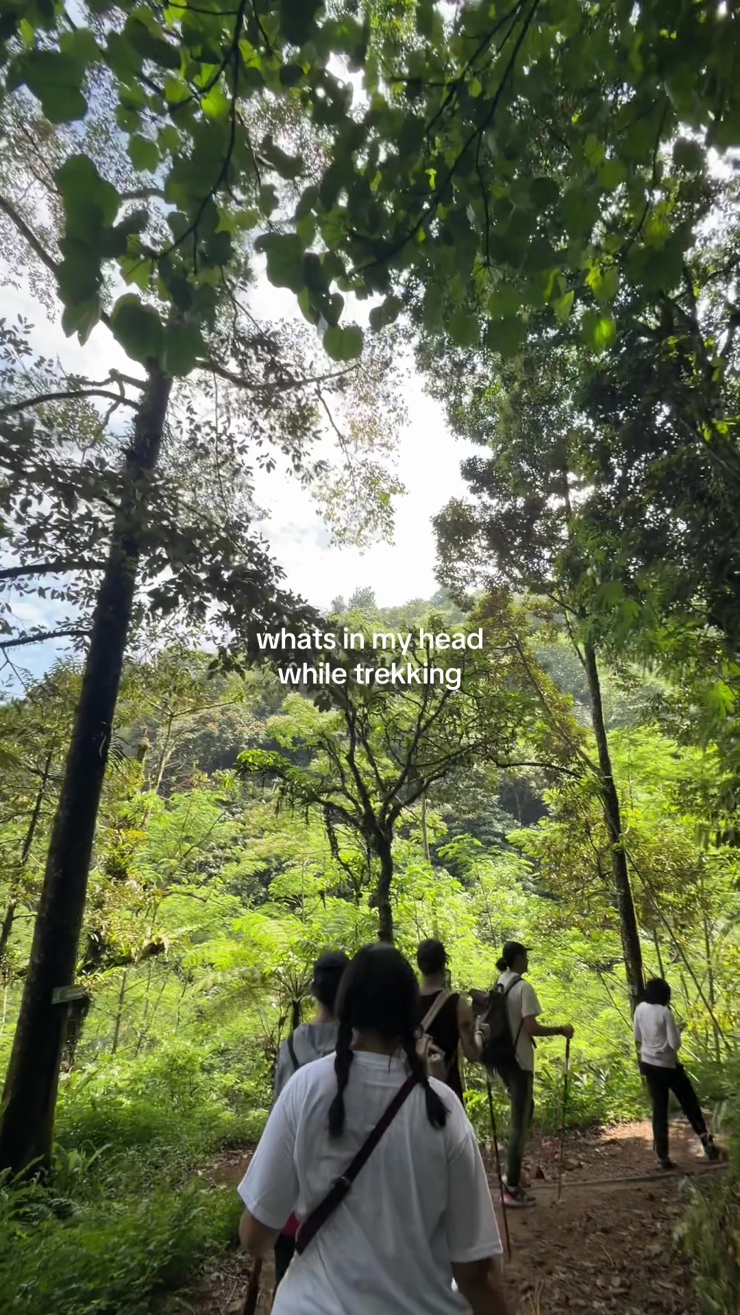 @aulia 🦉