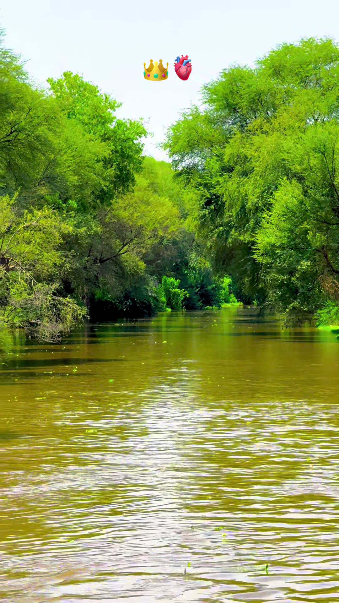 @پنجابی کلچر 🌾🍂