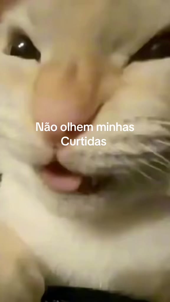 @Anonimodz1