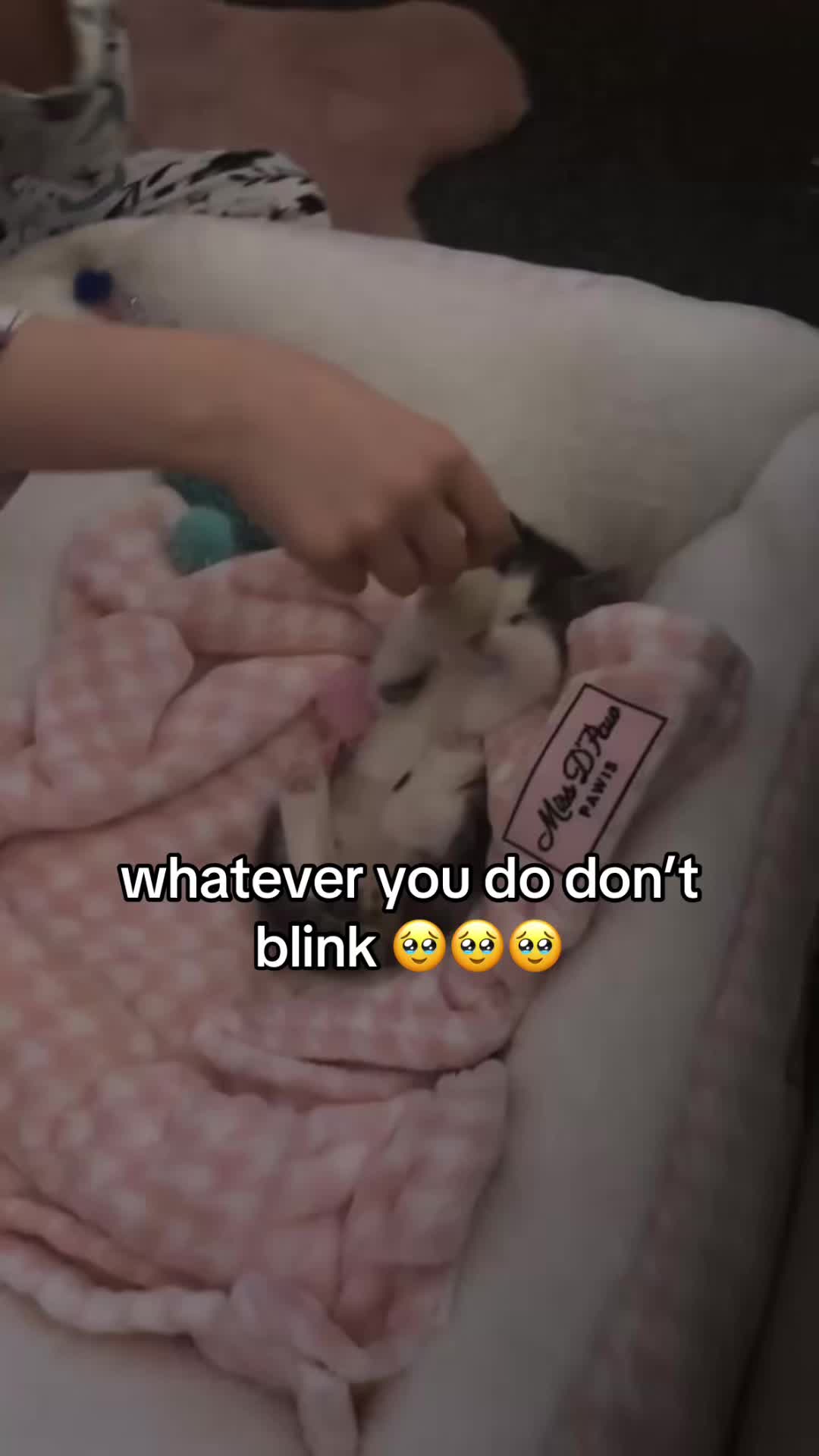 @Parisgx