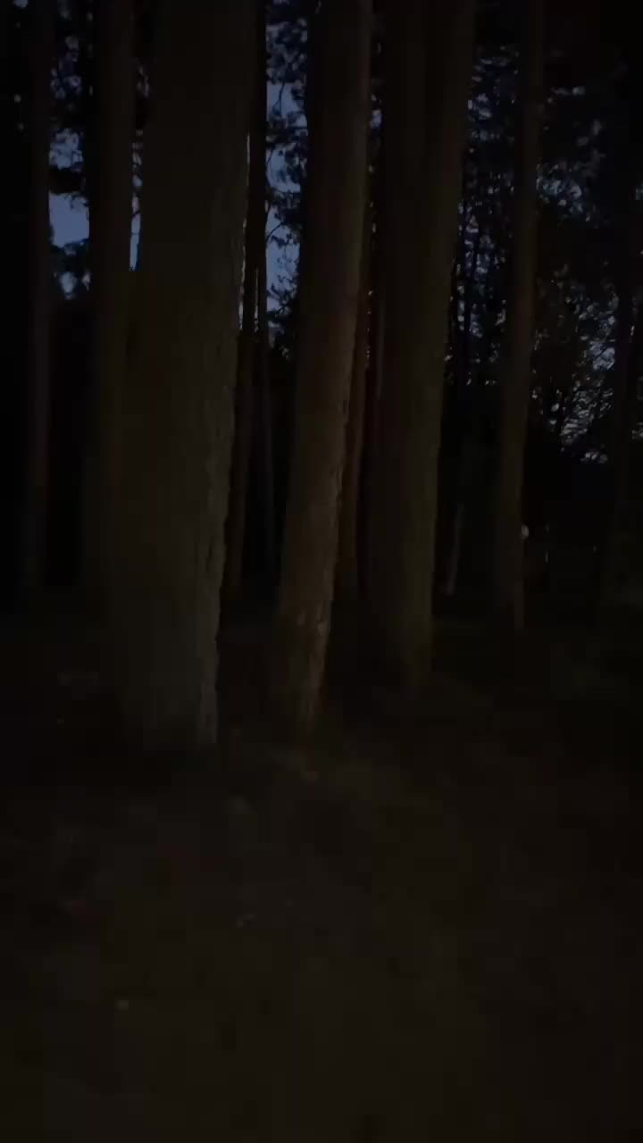 @B O R N 2 S H I N E