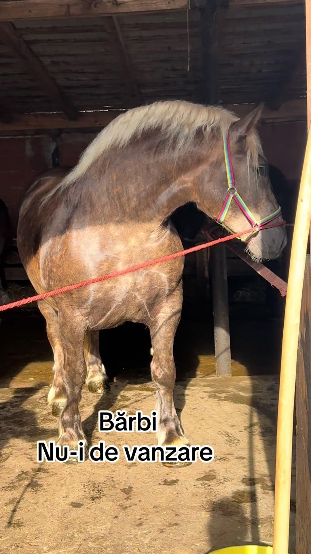 @🐴Spartanu🐴